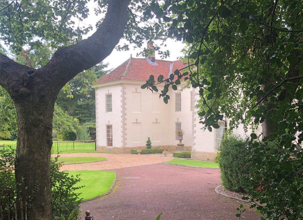 A large tree
Description automatically generated